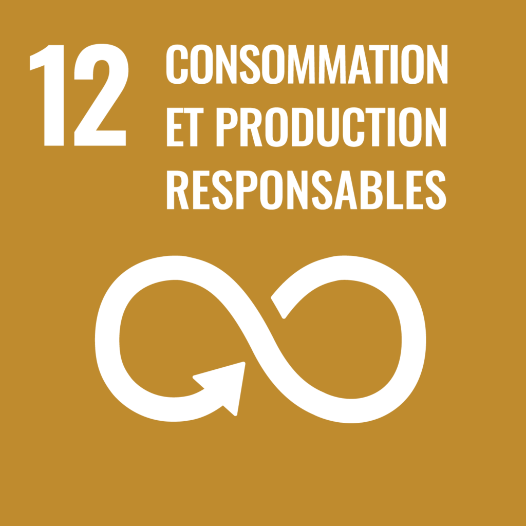 consommation production responsable icone odd belub