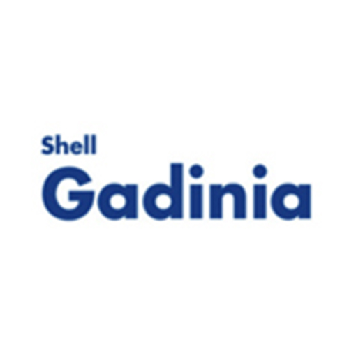 Shell Gadinia: huiles pour moteurs fixes de production d'électricité