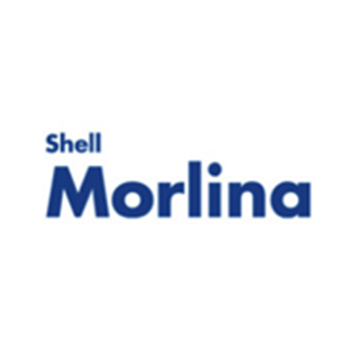 Shell Morlina: huiles pour paliers