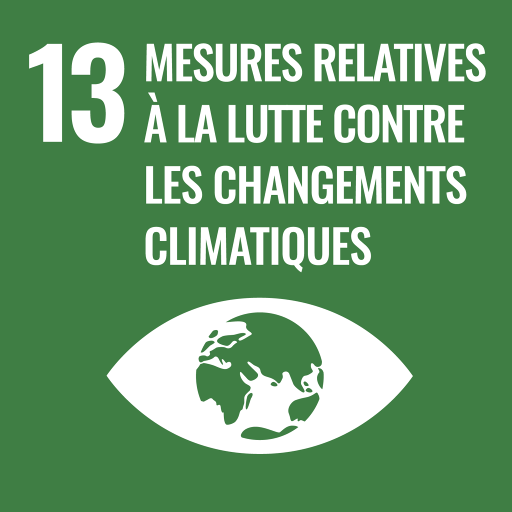 lutte contrele changement climatique icone odd belub